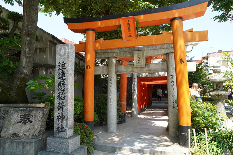 kushida shrine tori gates